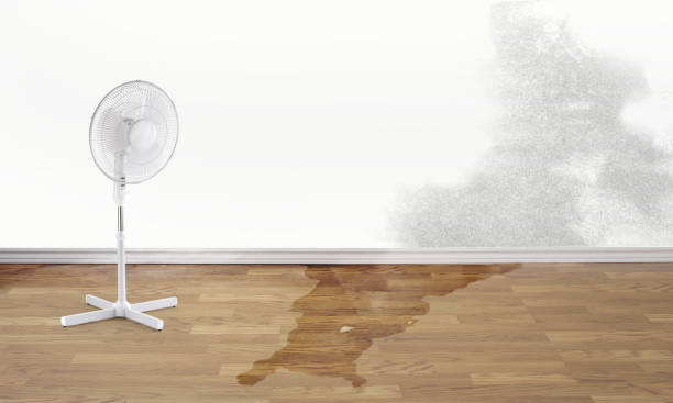 Best Mold removal after water damage  in Aptos Hills Larkin Valley, CA
