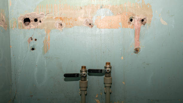 Best Flood damage cleanup  in Aptos Hills Larkin Valley, CA